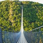 Hängeseilbrücke Geierlay