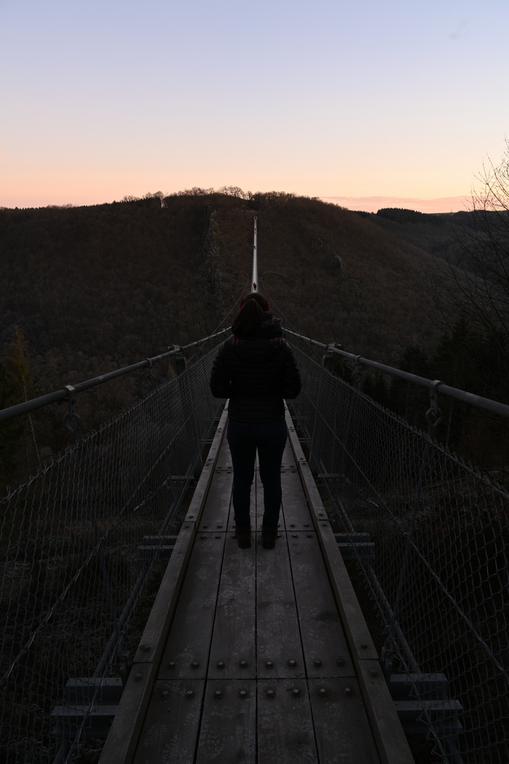 Hängeseilbrücke Geyerlei