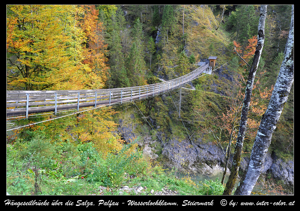 Hängeseilbrücke über die Salza, bei Palfau Steiermark