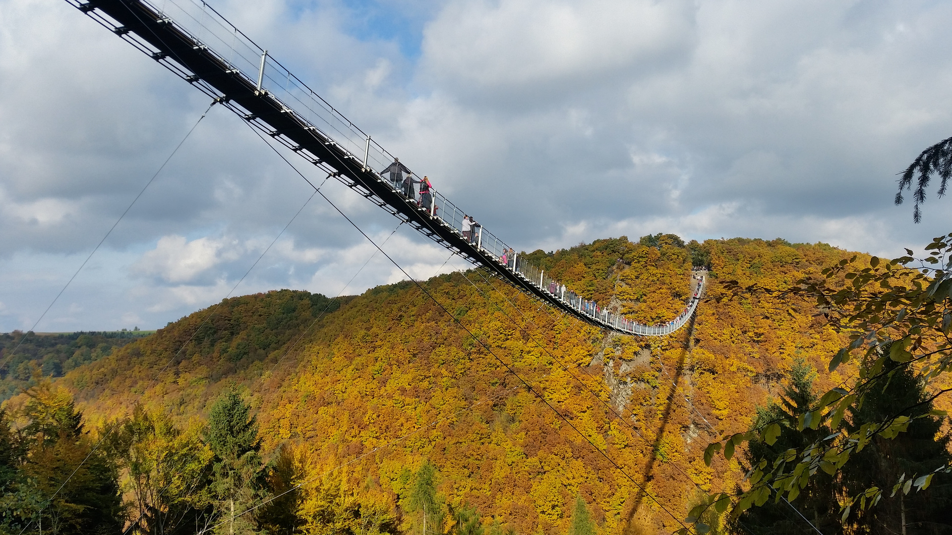 Hängeseilbrücke/Geierlay