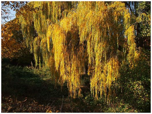 Garten- & Parklandschaften Bilder & Fotos