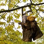 Hängt im Baum die Lederhose ...