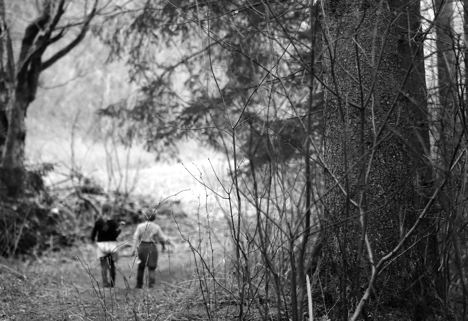 Hänsel und Gretel............