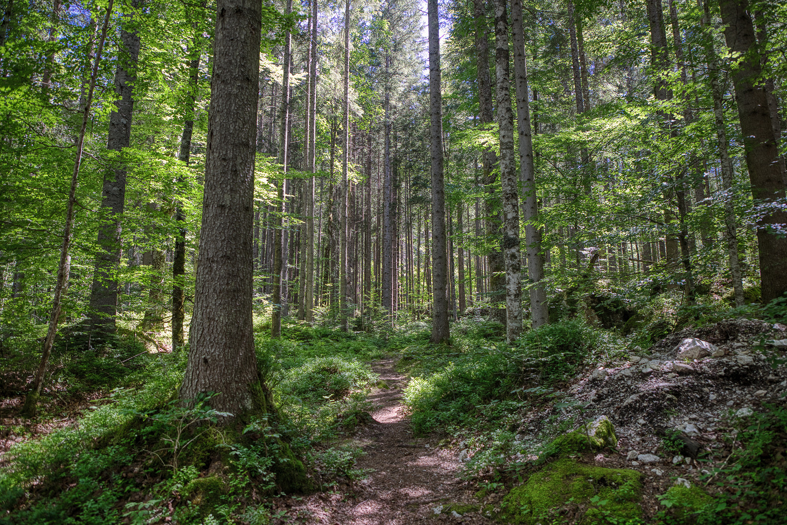 Hänsel und Gretel