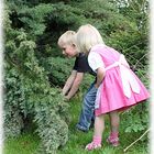 ....Hänsel und Gretel verliefen sich im Wald....