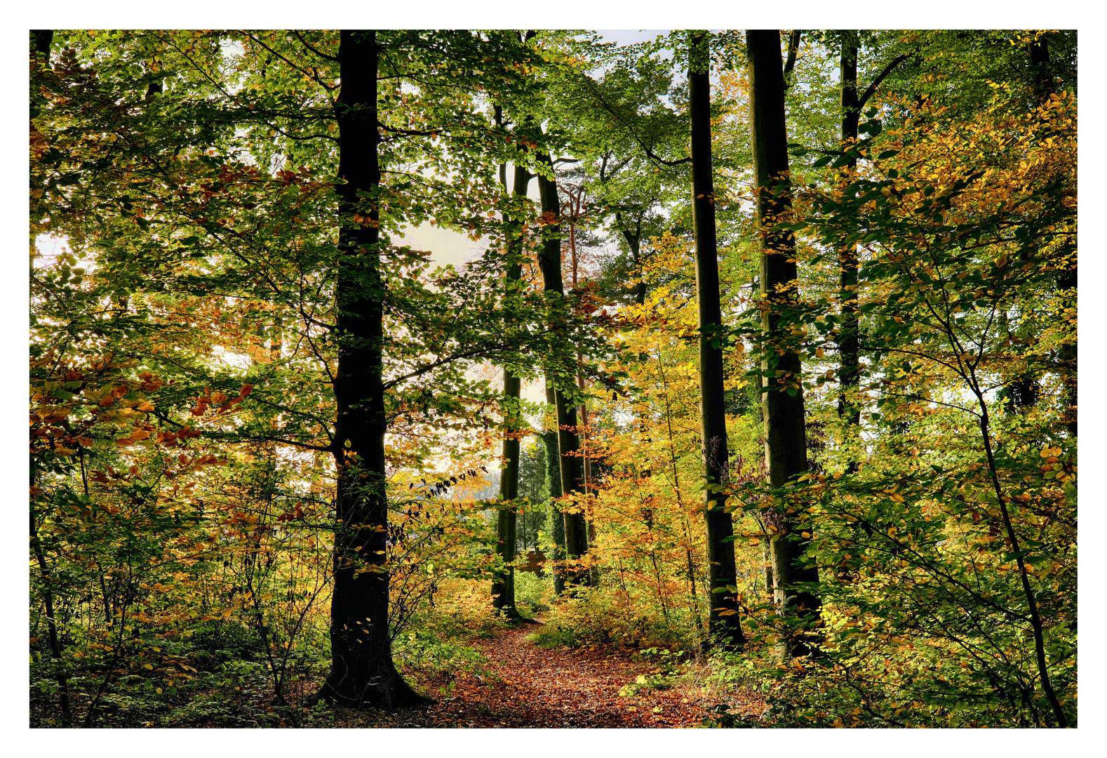 Hänsel und Knödel, die gingen in den Wald....