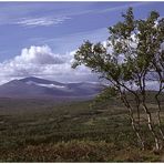 Härjedalen 1