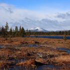 Härjedalen im Herbst