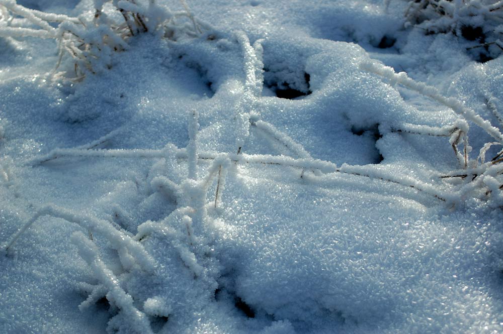 Härte des Winters