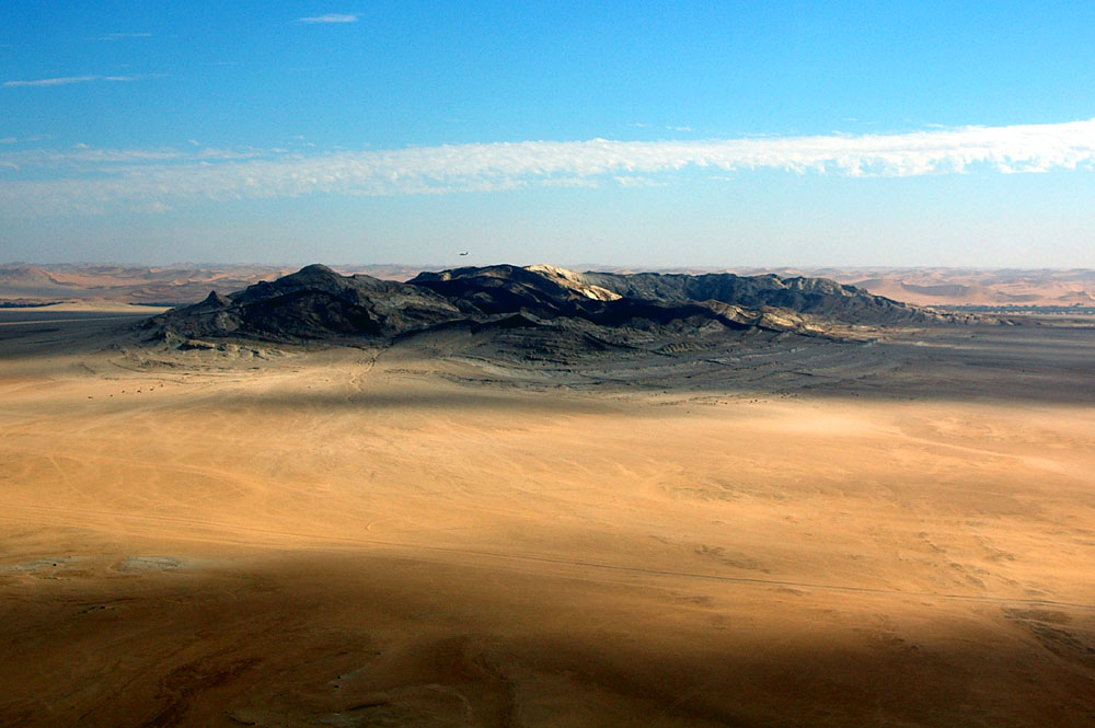 Härtling in der Namib am Nordufer des Kuiseb.