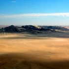 Härtling in der Namib am Nordufer des Kuiseb.