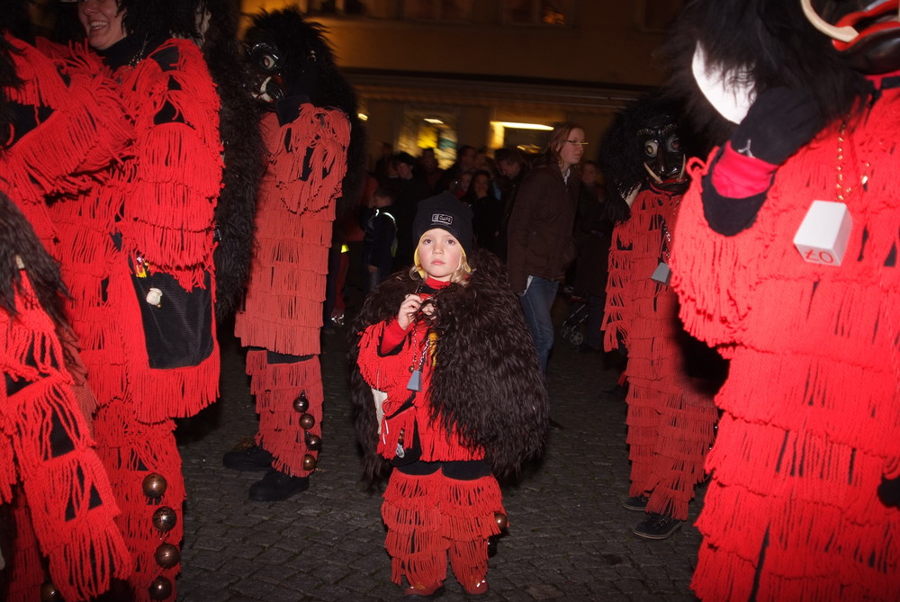 Häsabstaube in Lindau