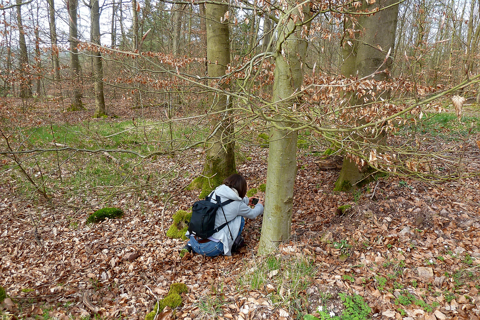 Häschen in der Grube...