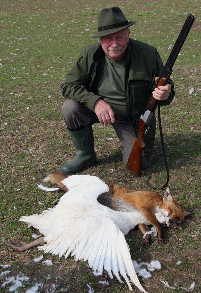 Hätte der Fuchs das Lied gekannt, hätte er die Gans nicht gestohlen.