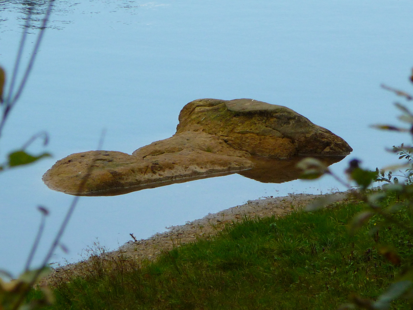 . . . hätte genauso gut ein Krokodil sein können