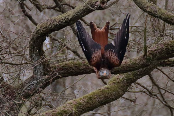 Hättest du nicht ein Auge auf mich gerichtet