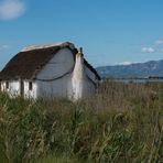 Häuschen im Ebrodelta