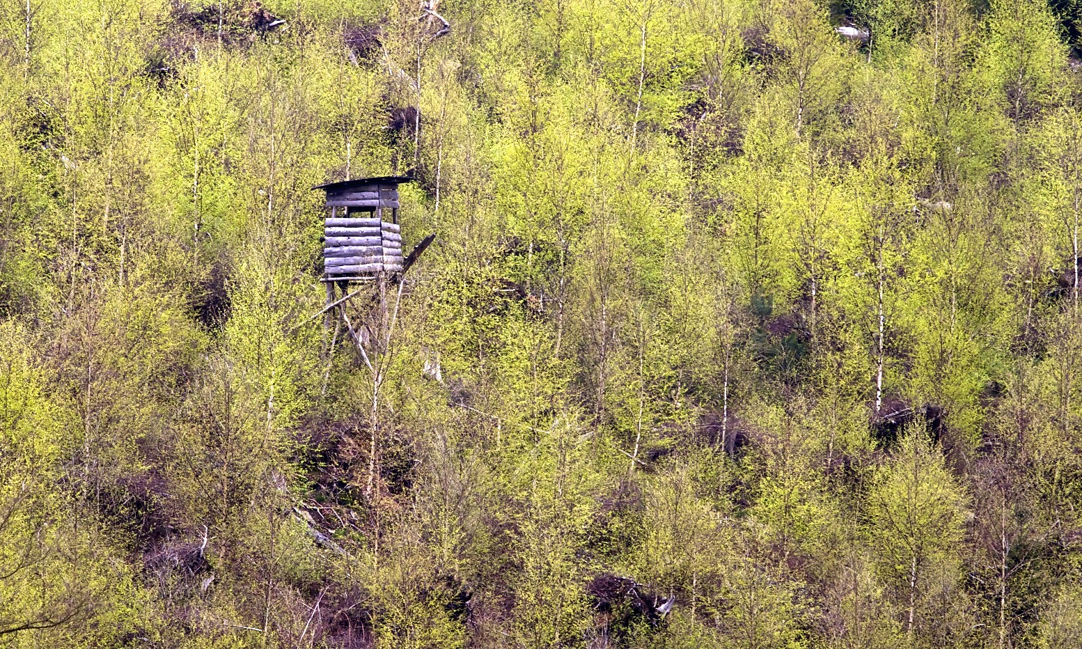 Häuschen im Grünen.