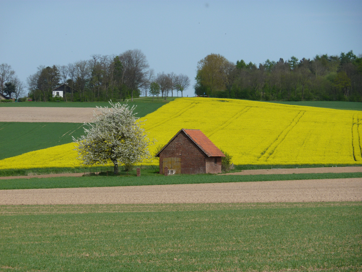 Häuschen im Grünen