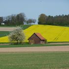 Häuschen im Grünen