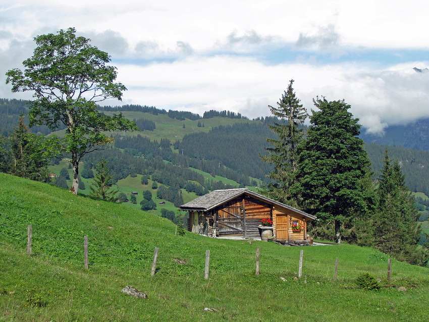 Häuschen im Grünen