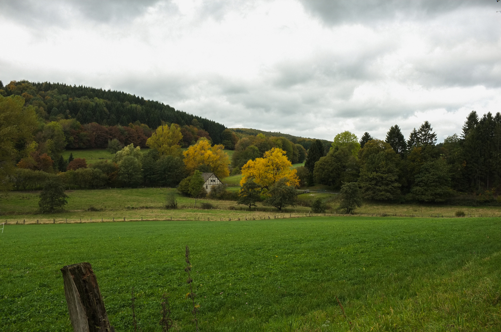 Häuschen im Grünen