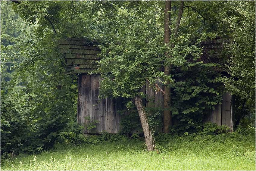 häuschen im grünen