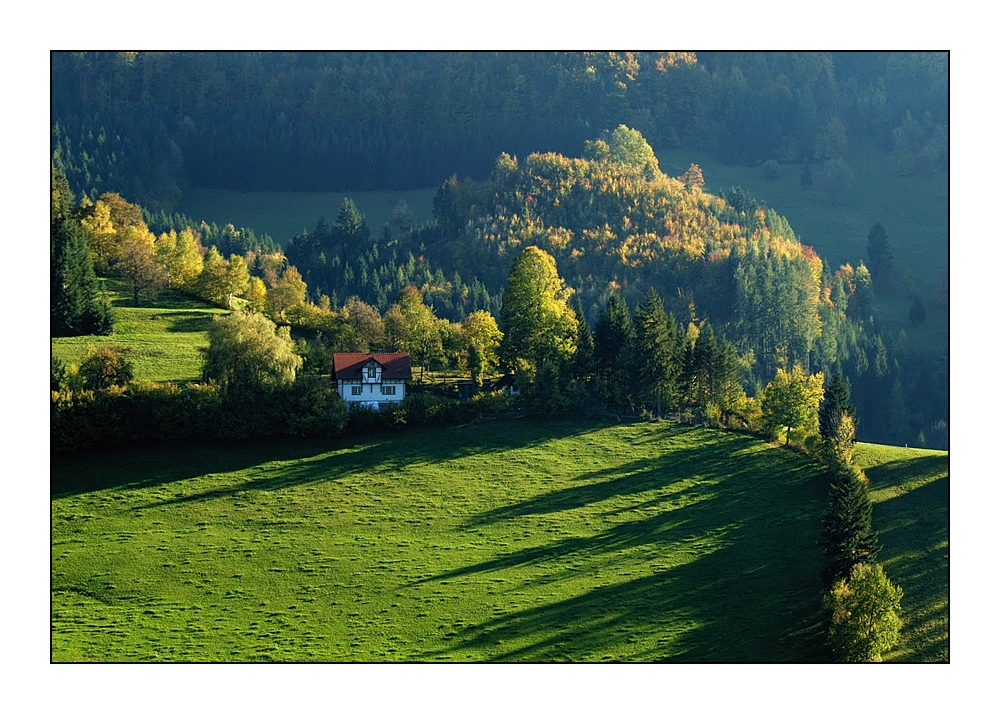 Häuschen im Grünen - Petite maison dans la verdure