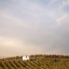 Häuschen im herbstlichen Weinberg