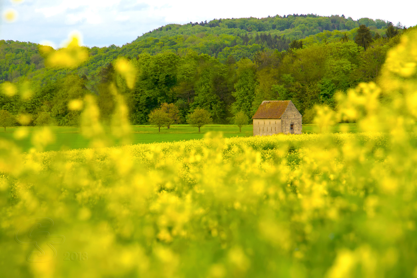 Häuschen im Rapsfeld