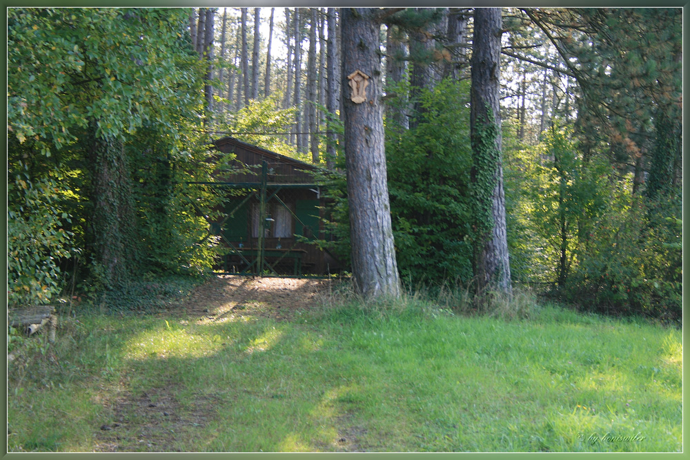 Häuschen im Wald