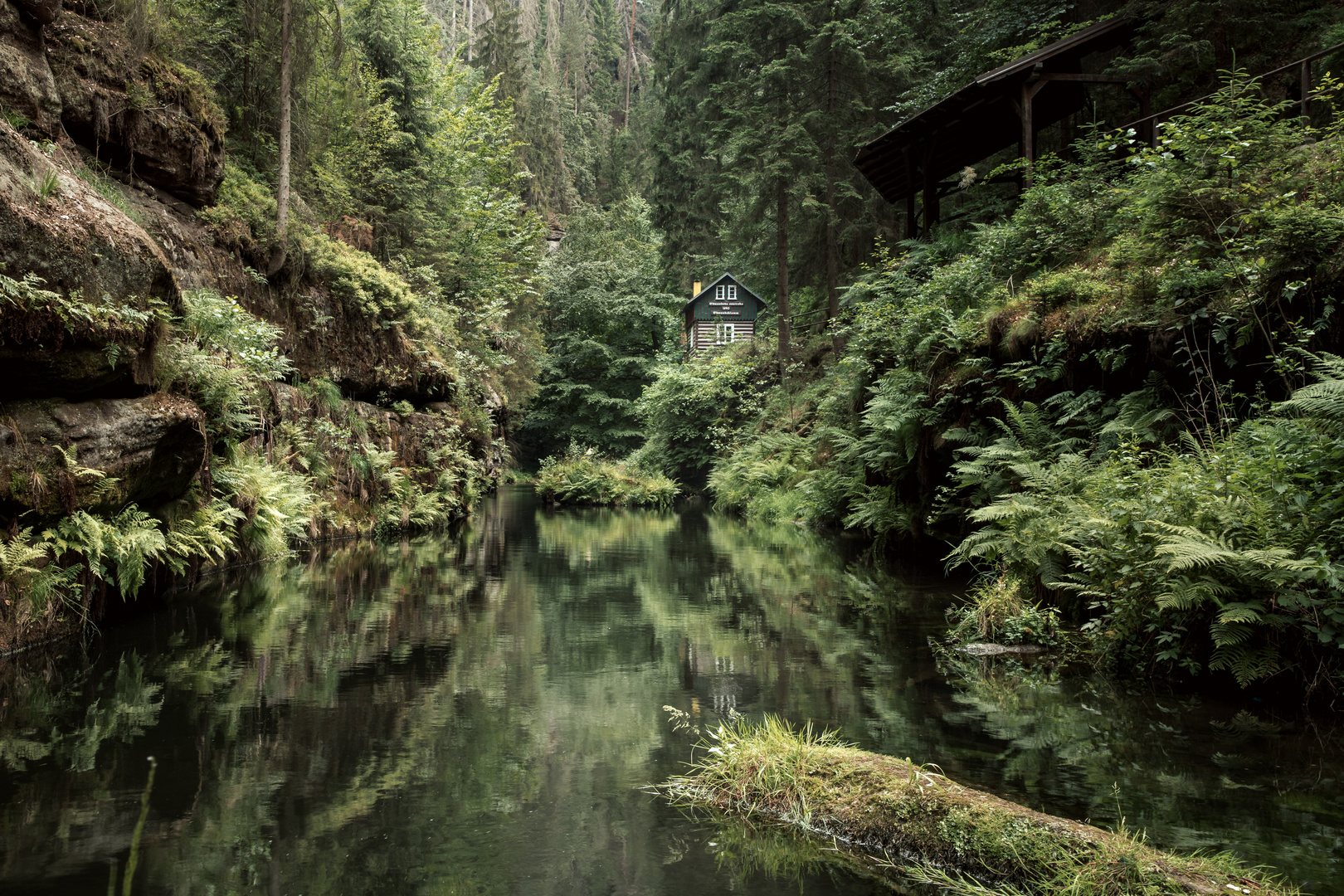 Häuschen im Wald