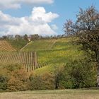 Häuschen im Weinberg