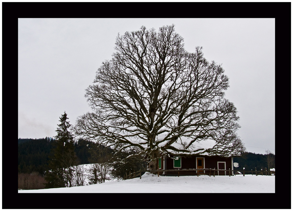 Häuschen im Winter