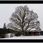 Häuschen im Winter