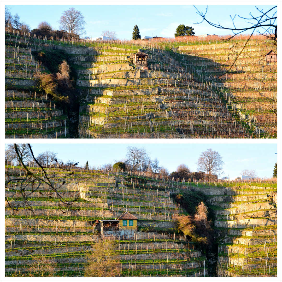 Häuschen in den Weinbergen