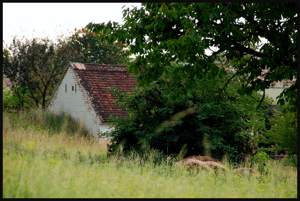 Häuschen in Herzogbirbaum