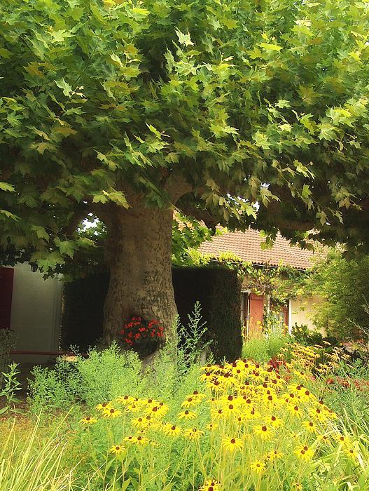 Häuschen in Südfrankreich