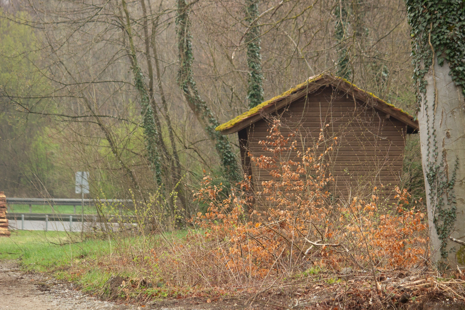 Häusel am Waldrand 