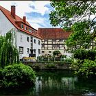 Häuser am "Großen Teich"