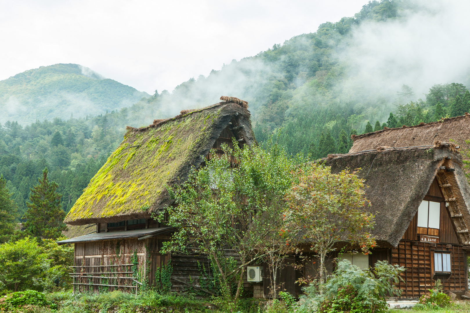Häuser im Dorf Shirakawago