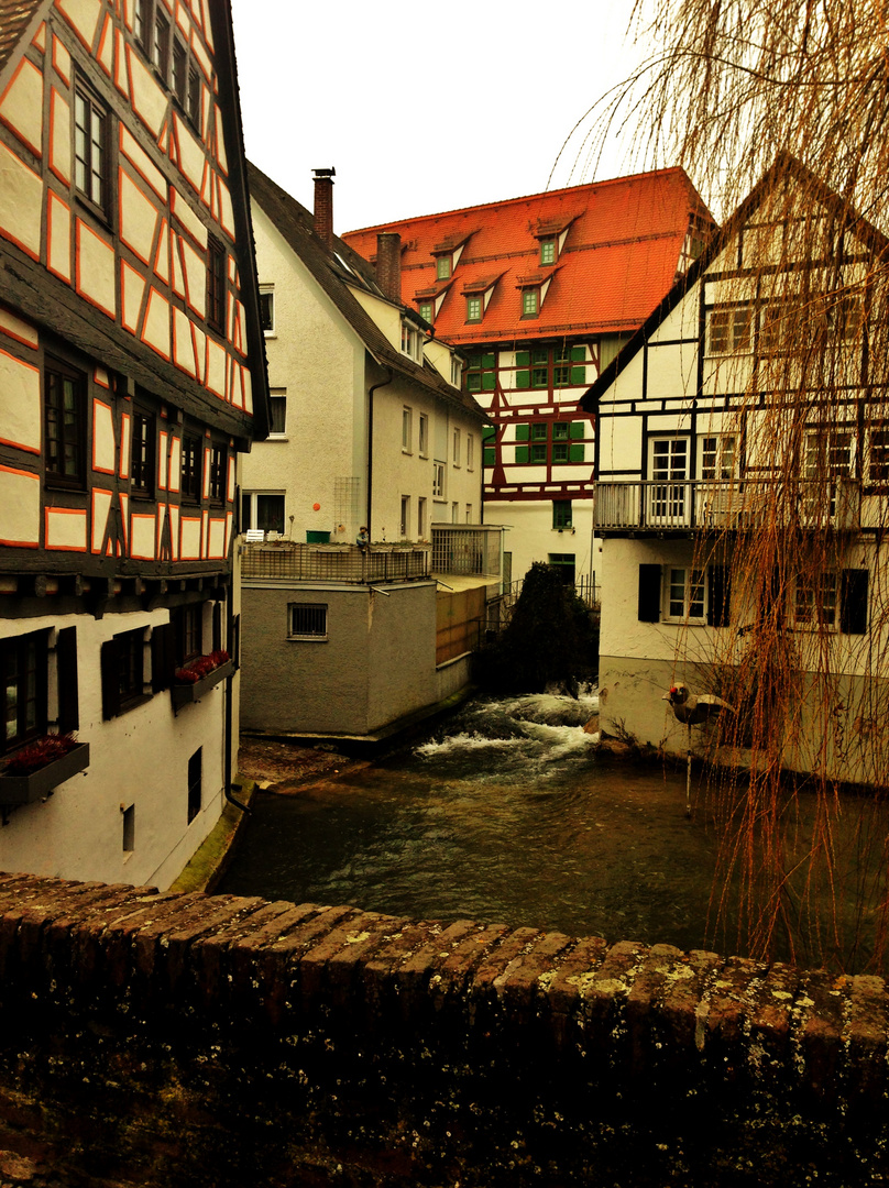 HÄUSER IM FISCHERVIERTEL ULM S