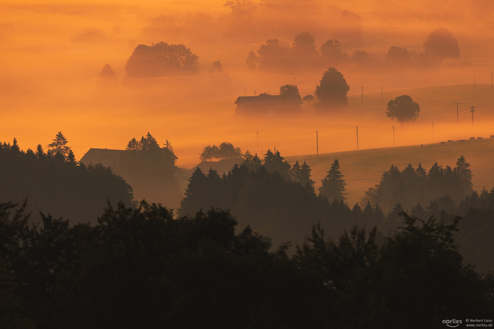 Häuser im Nebel