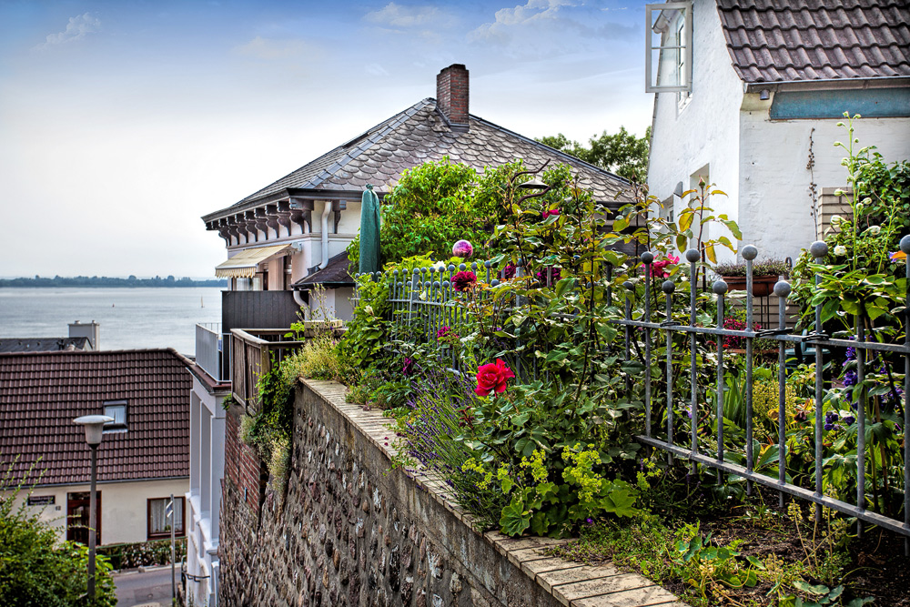 Häuser mit Elbblick