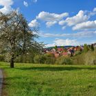 Häuser wie von Faller oder Kibri für die Eisenbahn