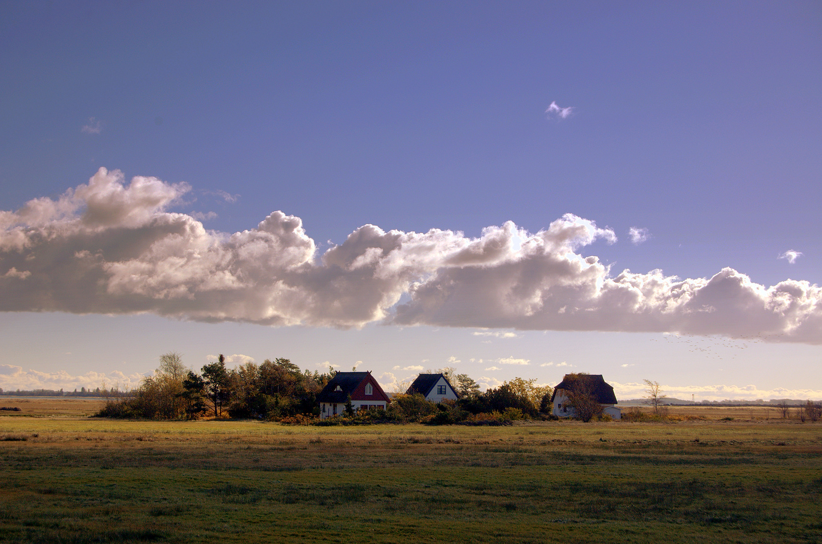 Häusergruppe auf Hiddensee