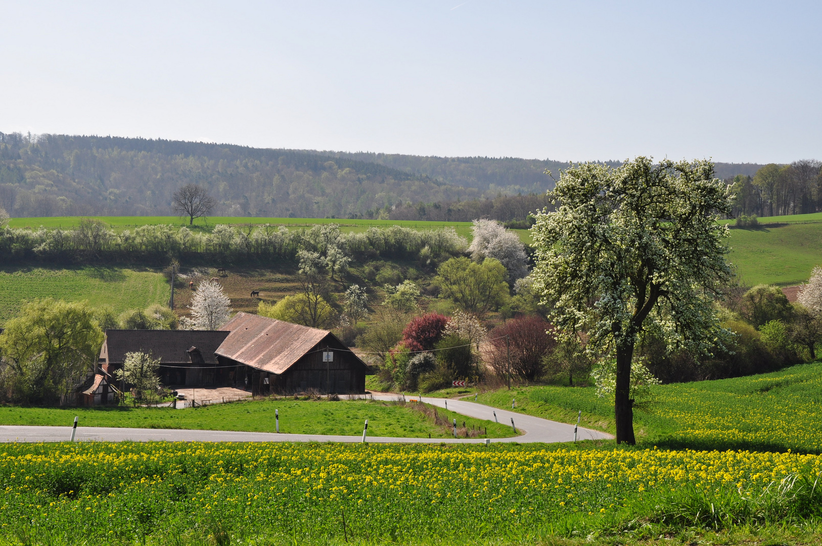 Häuserhof bei Radheim