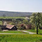 Häuserhof bei Radheim