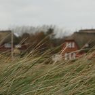 Häuserstimmung hinter Dünengras