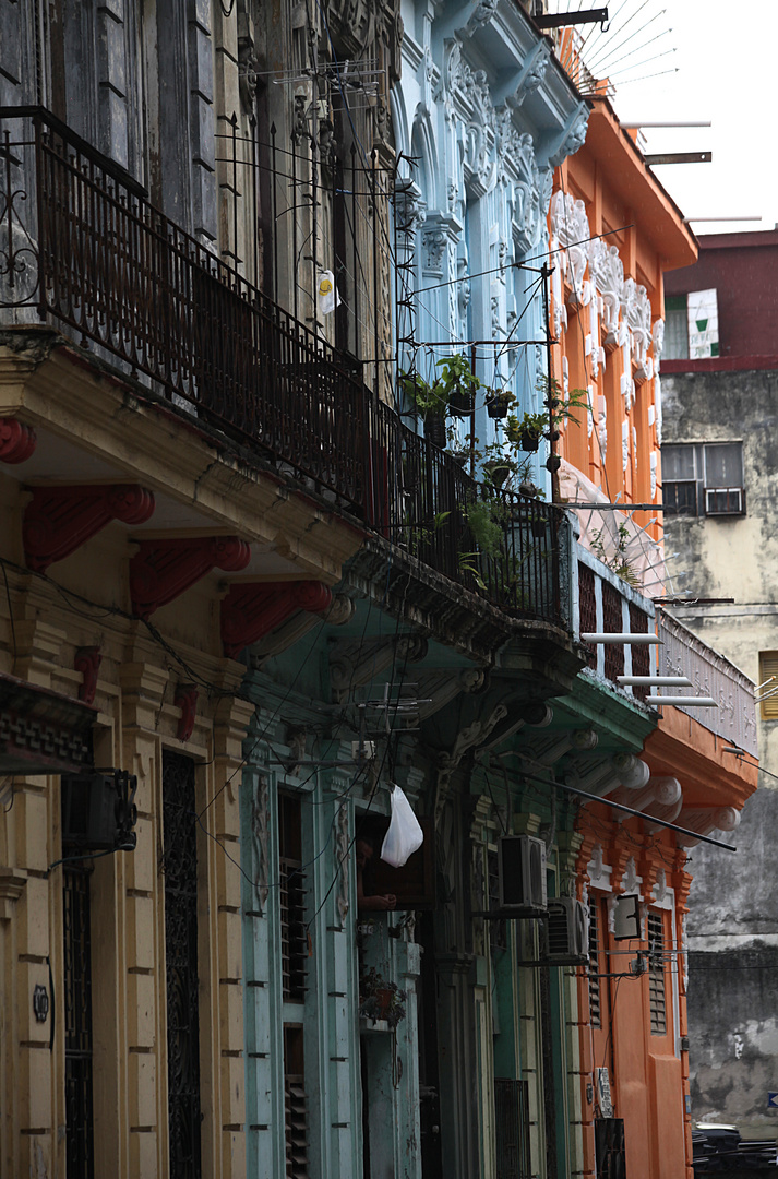 Häuserzeile in Havana